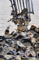 Castelli-115-7_2_15_LG