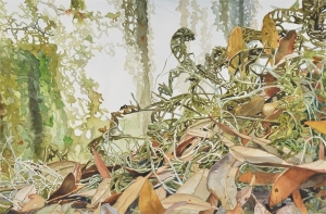Resurrection-Ferns-Brays-Island-7-17-15x22_LG