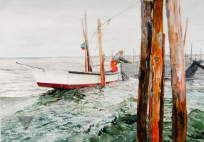 Feb-201910