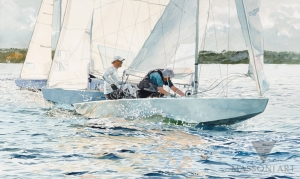 Feb-201927